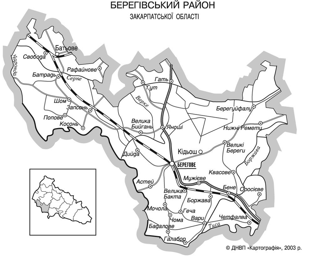 Берегівський район